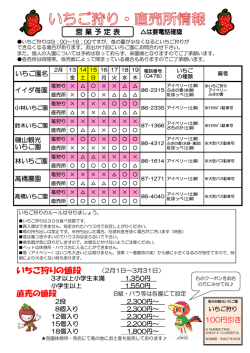 今週のいちご狩り速報