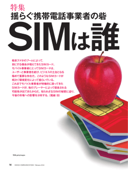 SIMは誰 揺らぐ携帯電話事業者の砦