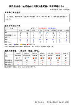 復旧担当者・被災者向け気象支援資料（埼玉県越谷市）