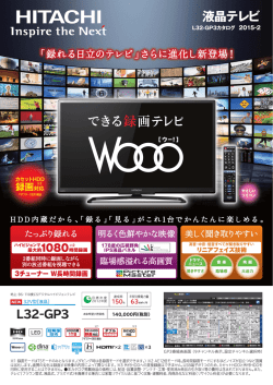 Wooo L32-GP3 PDF形式 2.20Mバイト