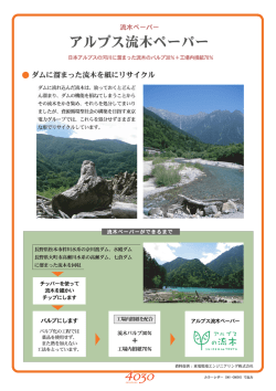 ダムの流木 - 株式会社優良パルプ