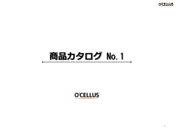オーディオ・モバイル関連＜オーセラスブランド＞はこちら（PDF）
