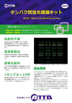 タンパク質蛍光標識キット