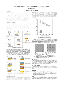 PDMS を用いた室温インプリントによる次世代メディアパターンの形成