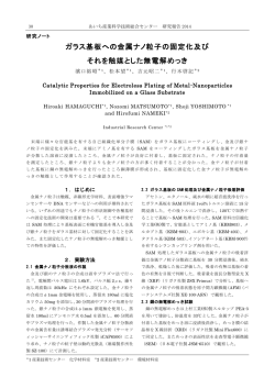 ガラス基板への金属ナノ粒子の固定化及び それを触媒とした無電解めっき