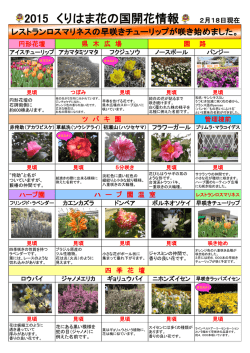 2015 くりはま花の国開花情報