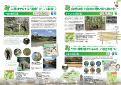 千葉市動物公園・子どもたちの森公園・加曽利貝塚公園（PDF：1417KB）