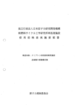 使用前検査実施要領書【PDF：220KB】