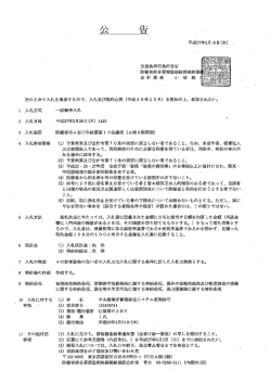 中央指揮所警備保全システム定期保守