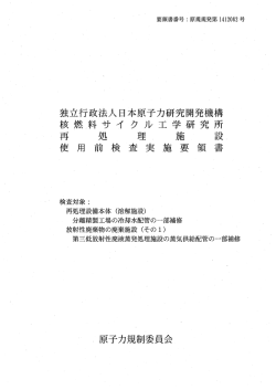 使用前検査実施要領書【PDF：829KB】
