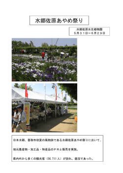 水郷佐原あやめ祭り（香取市）（PDF：219KB）