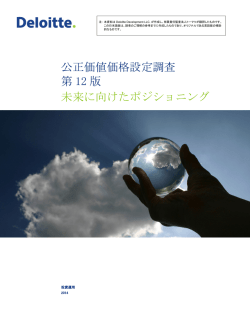 日本語翻訳版（PDF12ページ、1.662KB）