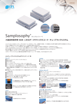 LVL_Samplosophy/日本語