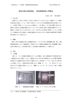 箱桁内面の塗替塗装 - 日本橋梁・鋼構造物塗装技術協会