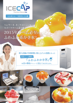 簡易版PDFダウンロード - 株式会社ICE CAP JAPAN
