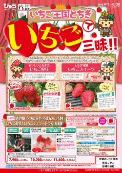 えきねっと（JR東日本）びゅう いちご王国とちぎでいちご三昧！