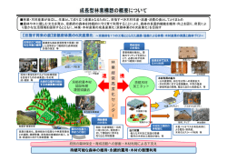 「成長型林業構想」の概要2（PDF：553KB）