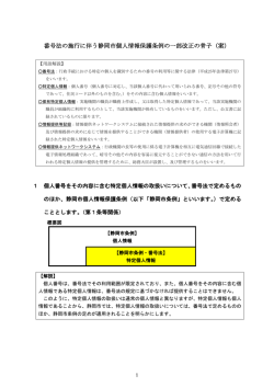 番号法の施行に伴う静岡市個人情報保護条例の一部改正の骨子（案）