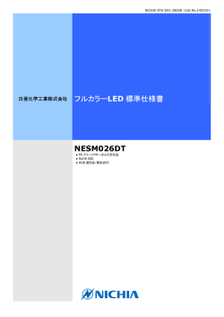 フルカラーLED 標準仕様書 NESM026DT