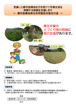 耕作放棄地再生利用緊急対策交付金（PDF：904KB）