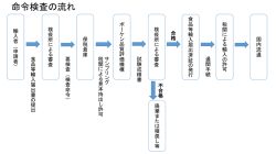 命令検査の流れ