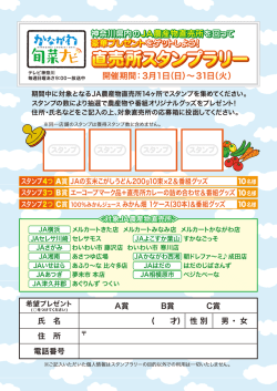 PDFファイル - テレビ神奈川