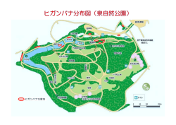 ヒガンバナ生育地