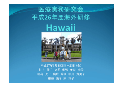 ハワイ（2015年01月） 報告PDF