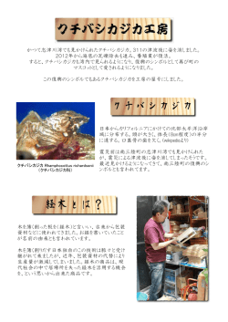 木を薄く削った板を（経木）と言いい、古来から包装 資材などに使われてき