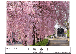 『 陽 春 』