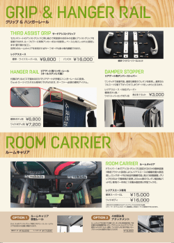 GRIP & HANGER RAIL ROOM CARRIER