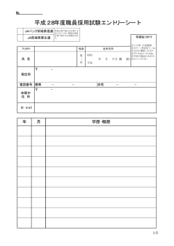 平成28年度職員採用試験エントリーシート