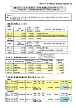 との併用における心身障害者医療費請求書（10名