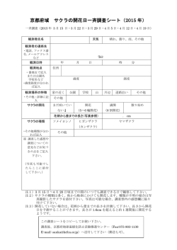 京都府域 サクラの開花日一斉調査シート（2015 年）