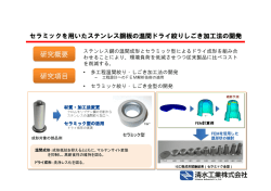 研究概要 研究項目