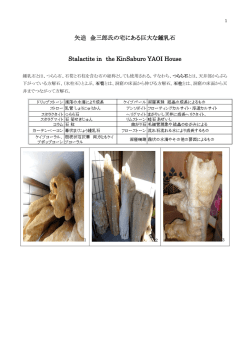 矢追 金三郎氏の宅にある巨大な鍾乳石 Stalactite in the KinSaburo