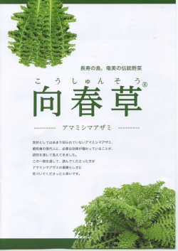 向春草パンフレット（pdf） - 特定非営利活動法人 奄美機能性食品開発;pdf