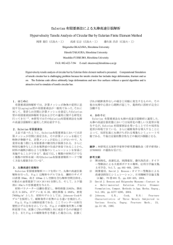 Eulerian 有限要素法による丸棒高速引張解析 Hypervelocity;pdf