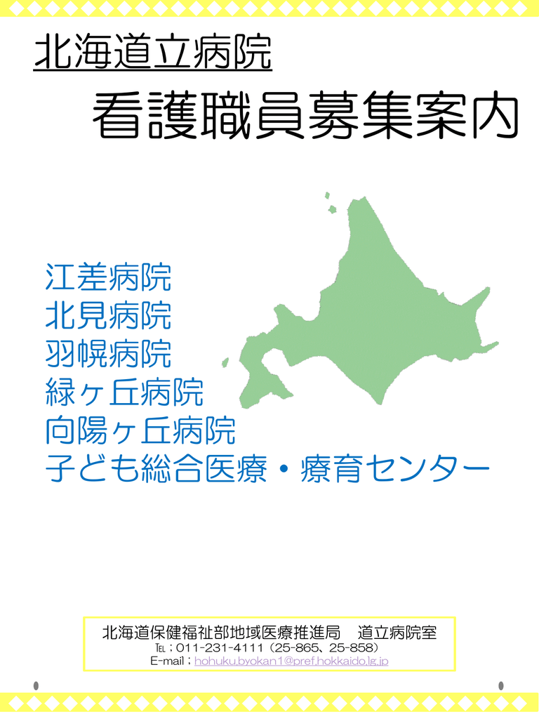 看護職員募集パンフレット Pdf Pdf