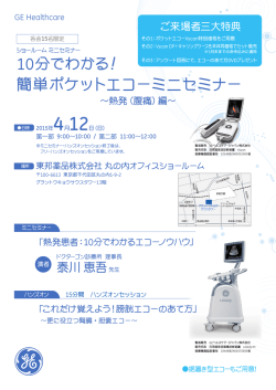 簡単ポケットエコーミニセミナー;pdf