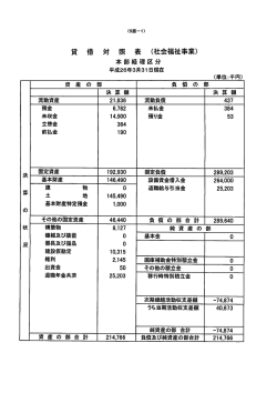 万亀会 貸借対照表、収支計算書等（PDF：393.1KB）;pdf