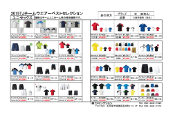 チームウェアー2015年モデル