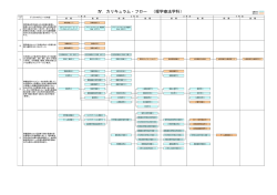Ⅳ．カリキュラム・フロー （理学療法学科）