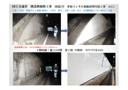 高知自動車道 新宮～南国間 トンネル内装塗装工事 津下TN 堂々TN