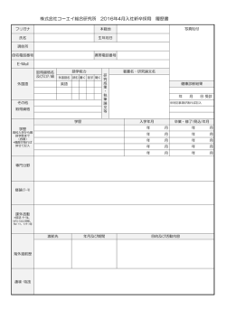 株式会社コーエイ総合研究所 2016年4月入社新卒採用 履歴書