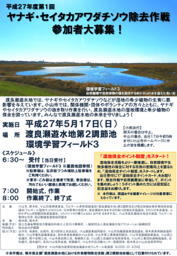 チラシはこちら（PDF：789KB）