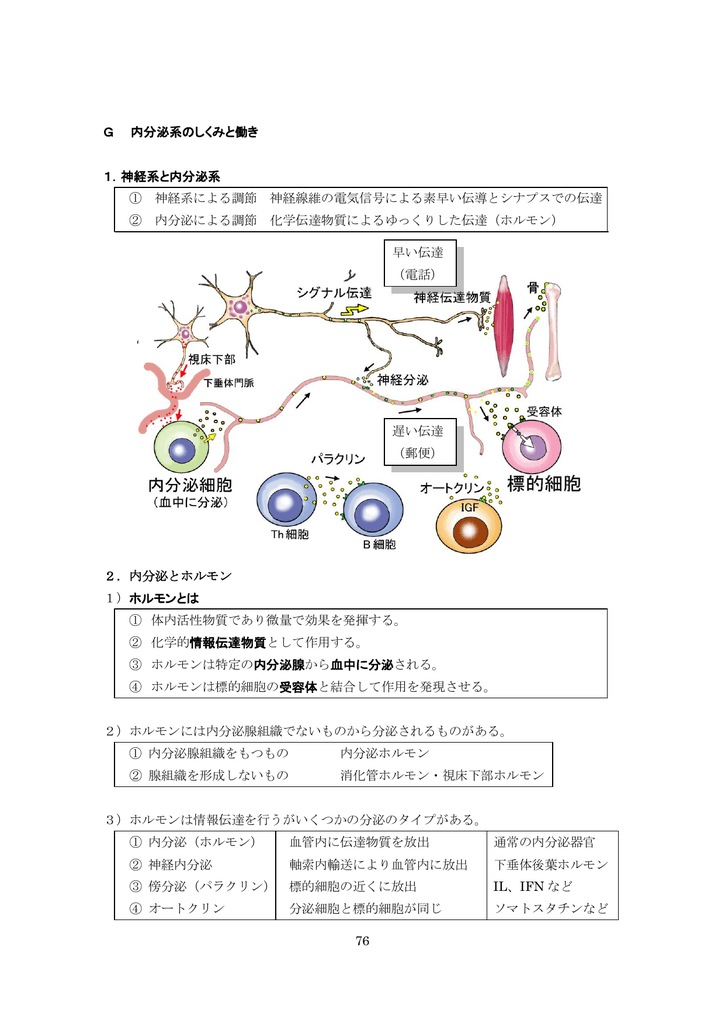 74 G 内分泌系のしくみと働き 1 神経系と内分泌系 神経系による調節
