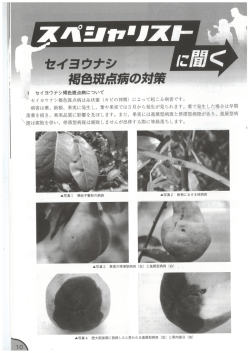セイヨウナシ褐色斑点病の対策
