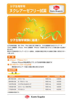 分子生物学用 ヌクレアーゼフリー試薬