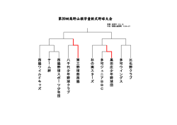 第20回高野山旗学童軟式野球大会